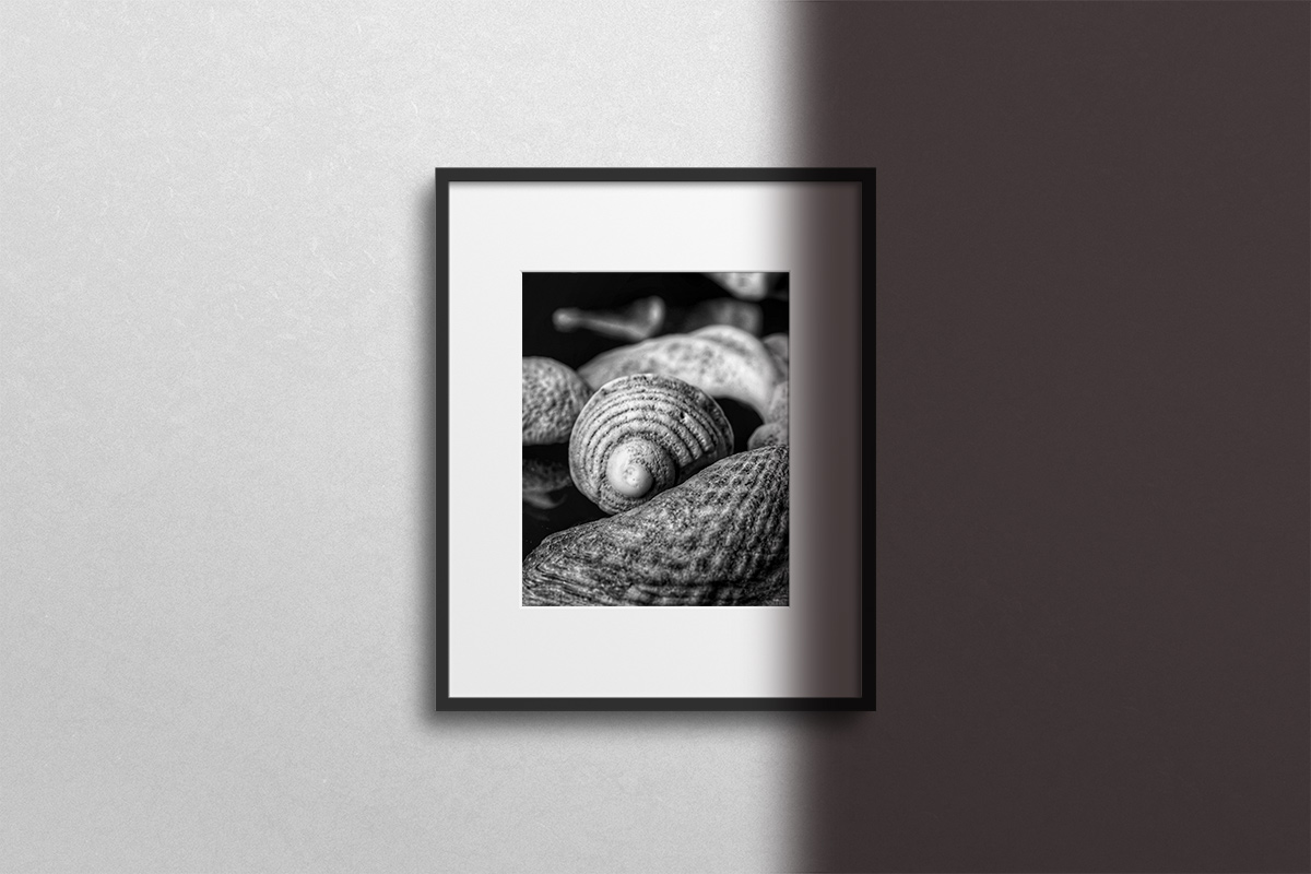 Black & White photo frame with black border